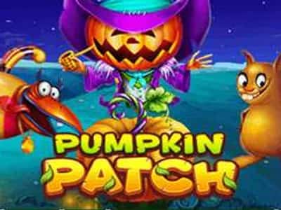 Pumpkin Patch