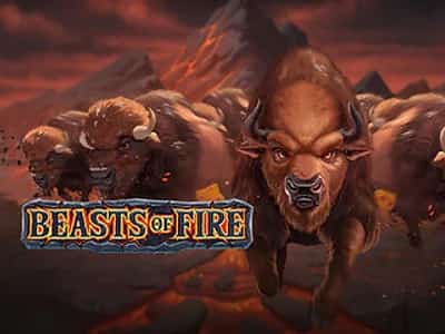 Beasts of Fire