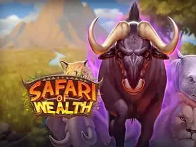 Safari of Wealth